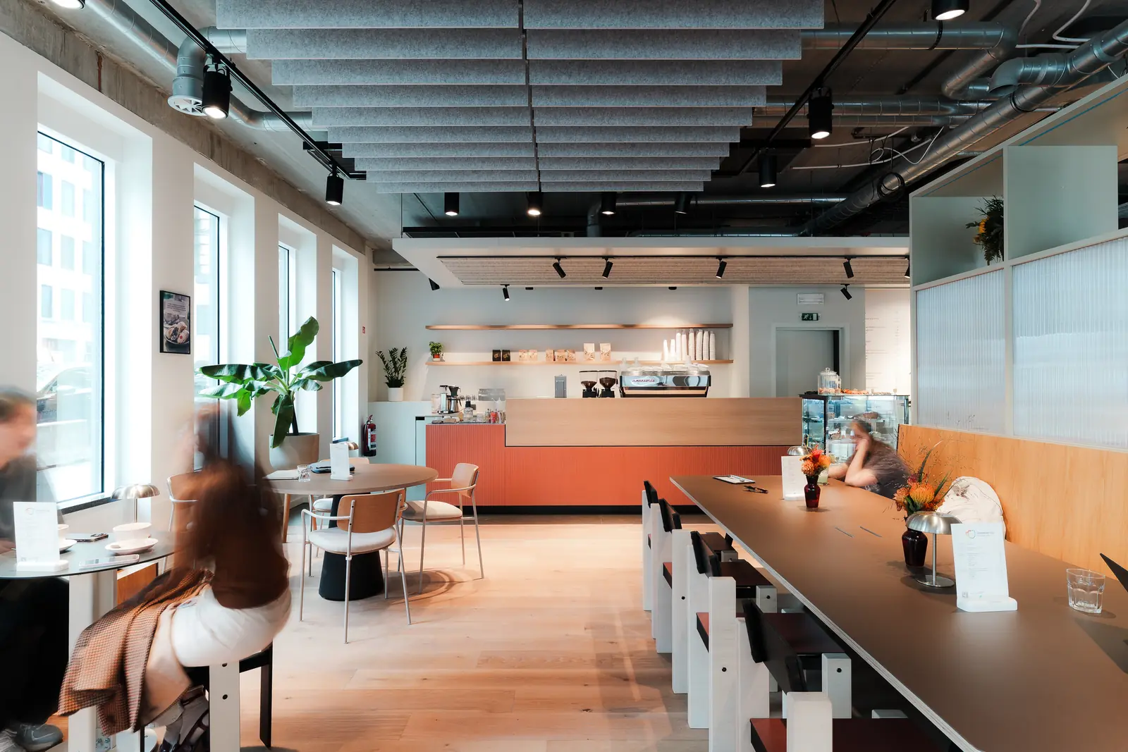 The counter in daytime service, guests at the tables and plants along the windows